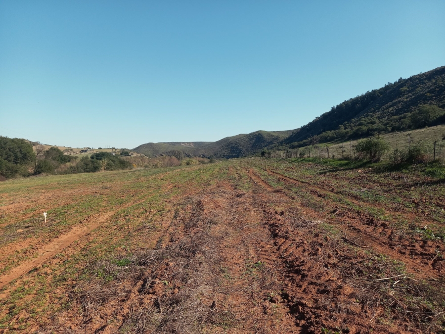 Commercial Property for Sale in George Rural Western Cape